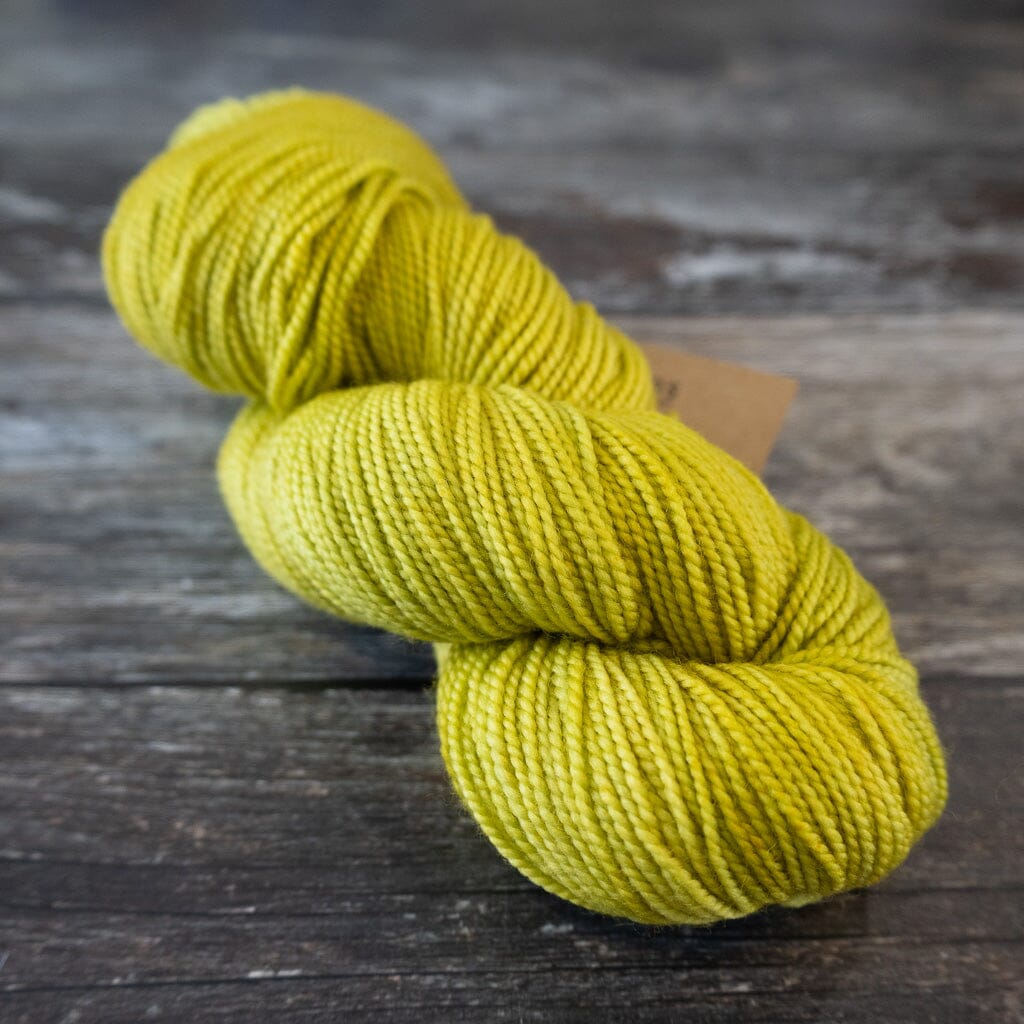 Manos del Uruguay Sami Hand Dyed Yarn